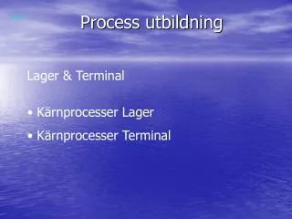 process utbildning