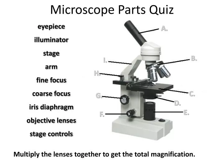 microscope parts quiz