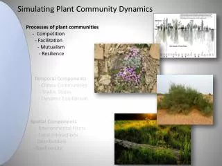 Simulating Plant Community Dynamics