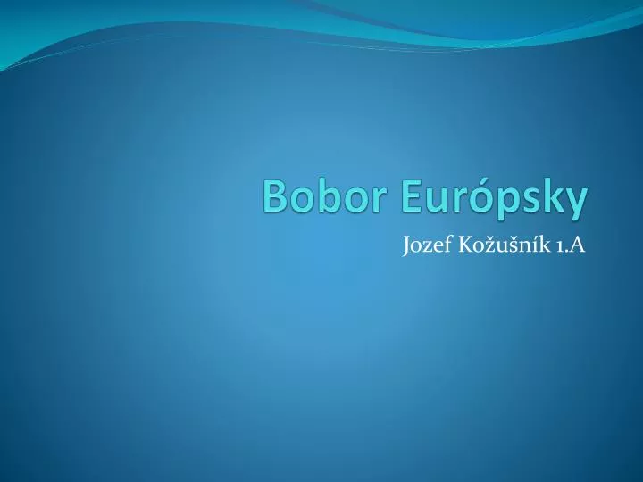 bobor eur psky