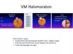 VM Halvmaraton - slide 1