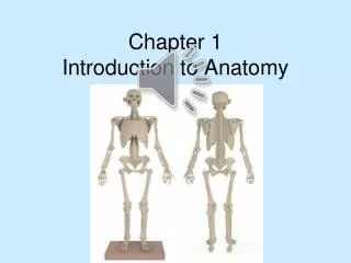 Chapter 1 Introduction to Anatomy