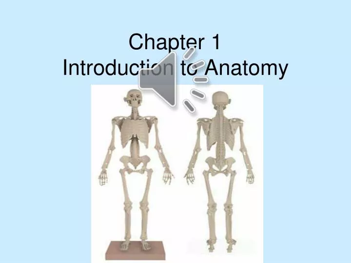 chapter 1 introduction to anatomy