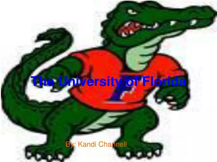 the university of florida