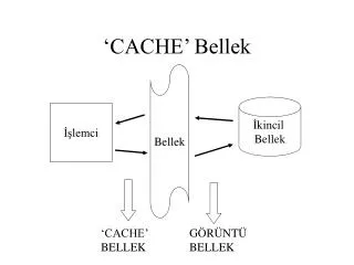 cache bellek