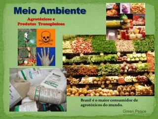 meio ambiente
