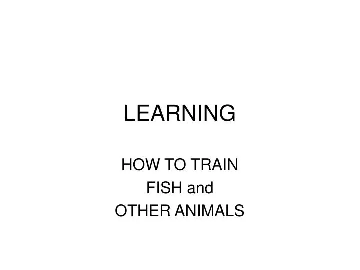 learning