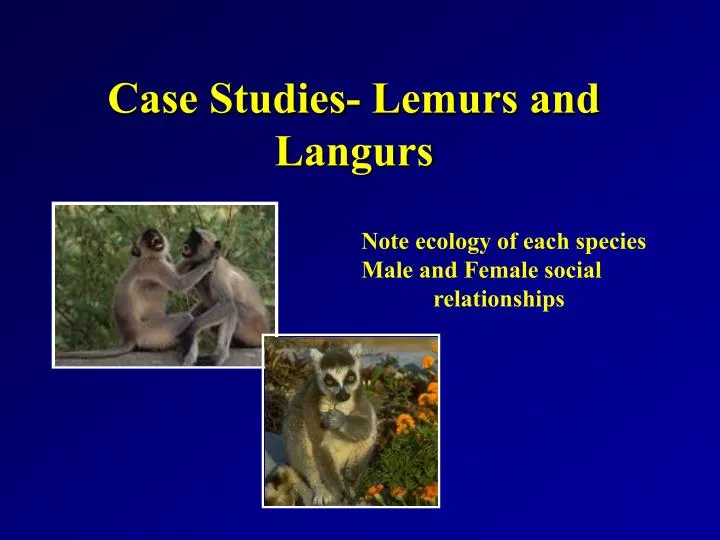 case studies lemurs and langurs