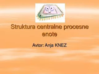 struktura centralne procesne enote