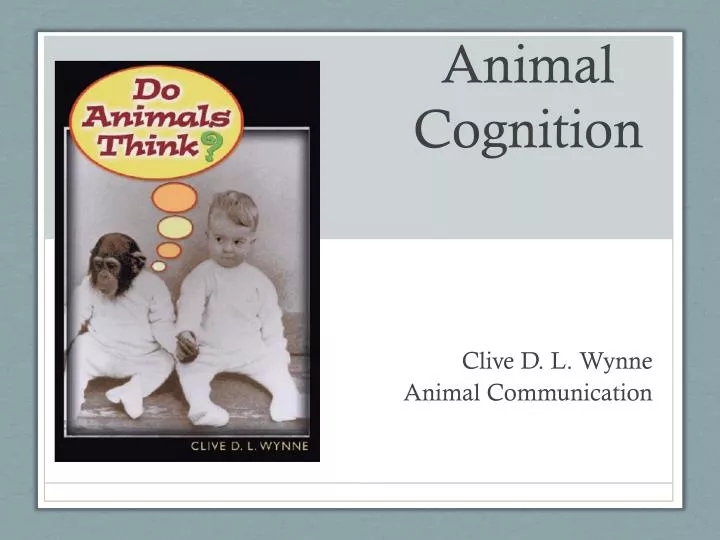 animal cognition