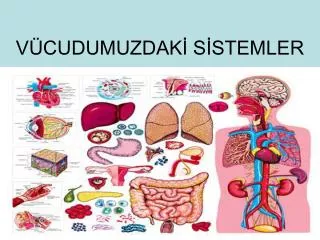v cudumuzdak s stemler