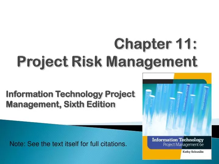chapter 11 project risk management
