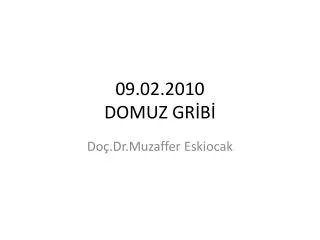 09 02 2010 domuz gr b