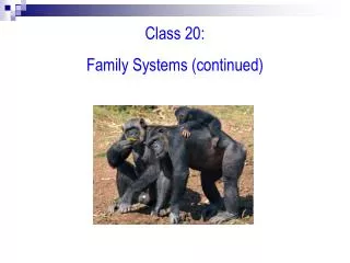 Class 20: Family Systems (continued)