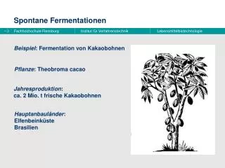 spontane fermentationen
