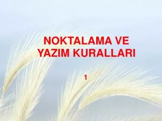 noktalama ve yazim kurallari
