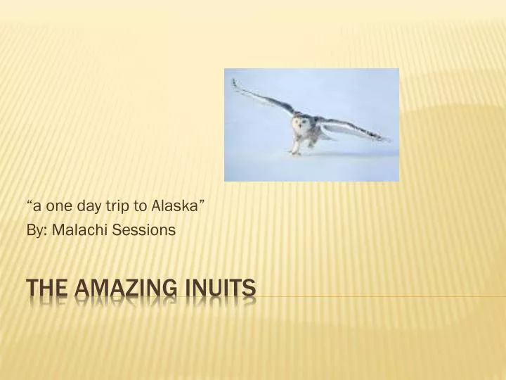 a one day trip to alaska by malachi sessions