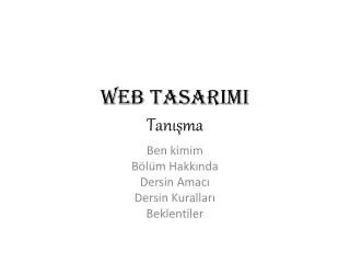 web tasarimi tan ma