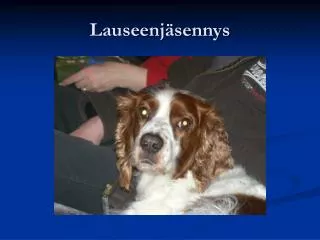lauseenj sennys