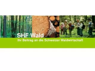 Ihr Beitrag an die Schweizer Waldwirtschaft