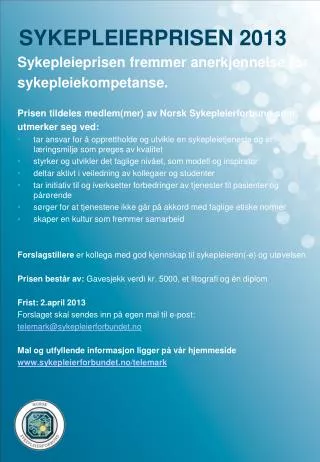 sykepleierprisen 2013