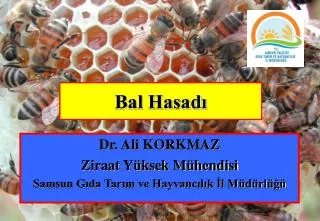 bal hasad