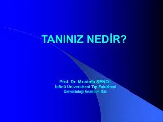taniniz ned r