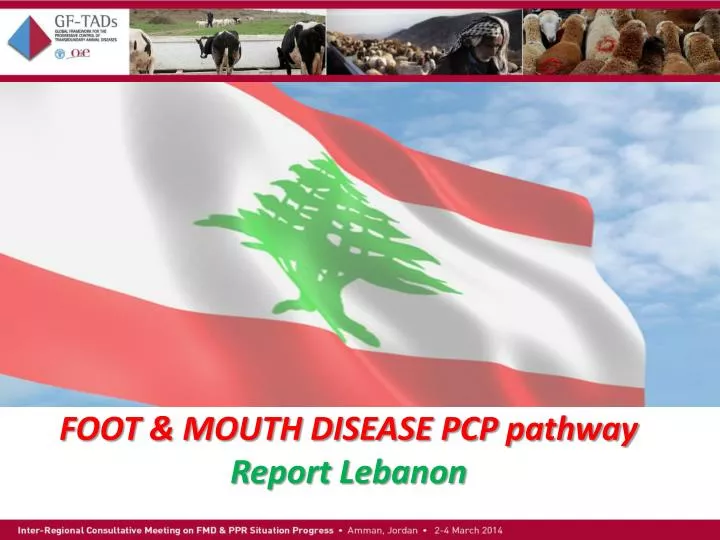 foot mouth disease pcp pathway report lebanon