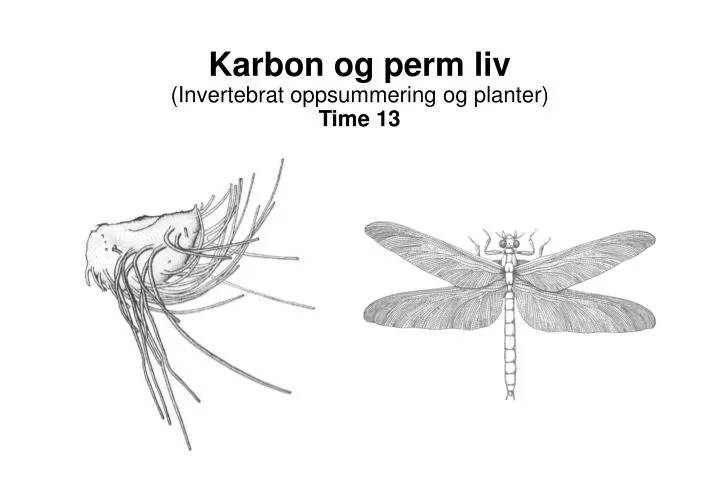 karbon og perm liv invertebrat oppsummering og planter time 13