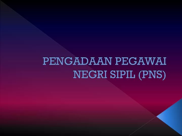 pengadaan pegawai negri sipil pns