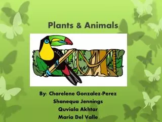 Plants &amp; Animals
