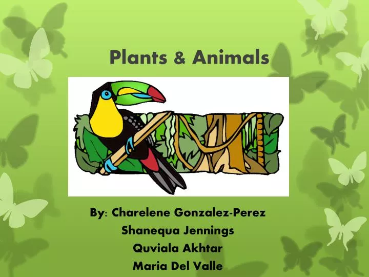 plants animals