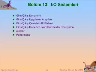 b l m 13 i o sistemleri