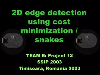 2D edge detection using cost minimization / snakes