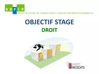 objectif stage droit