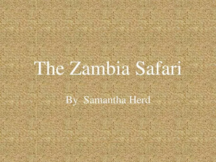 the zambia safari