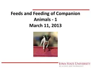 Feeds and Feeding of Companion Animals - 1 March 11, 2013