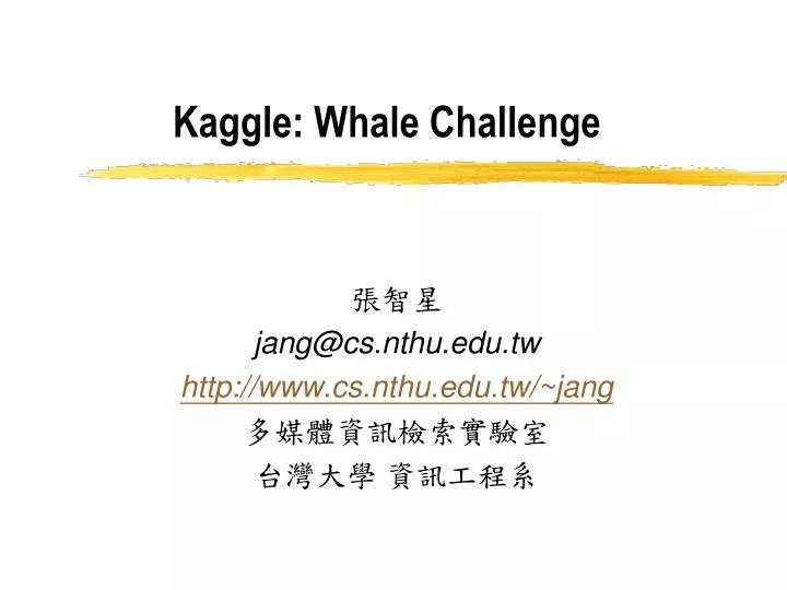 kaggle whale challenge