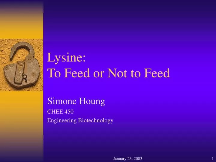 lysine to feed or not to feed