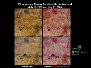 Floodwaters Renew Zambia's Kafue Wetland July 19, 2003 and July 21, 2004