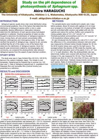 Study on the pH dependence of photosynthesis of Sphagnum spp.