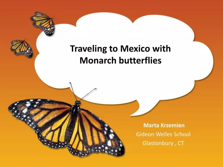 traveling to mexico with monarch butterflies