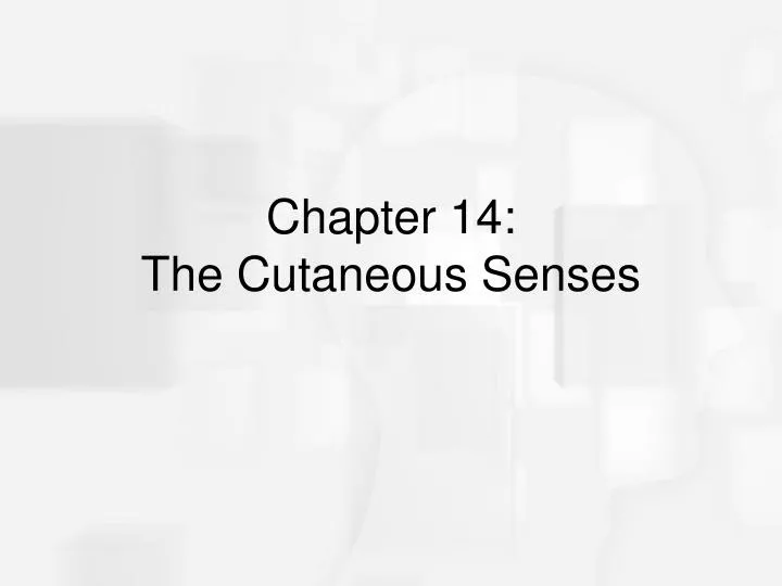 chapter 14 the cutaneous senses