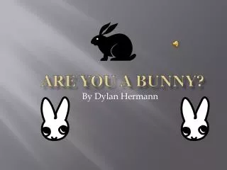 Are you a bunny?