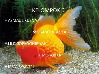 kelompok 6