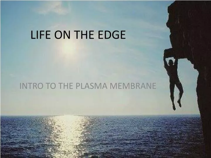 life on the edge