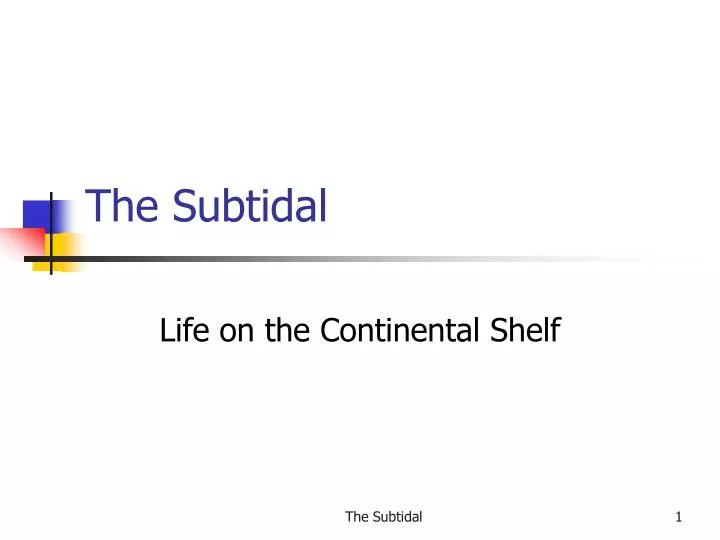 the subtidal