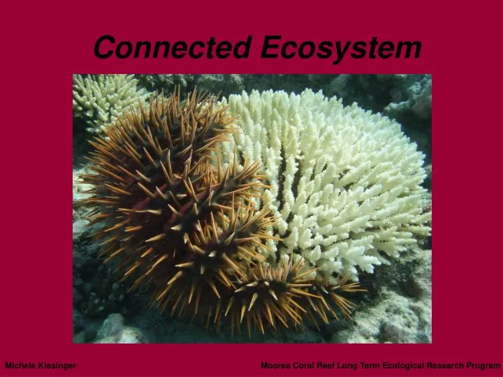 connected ecosystem