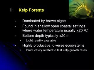 Kelp Forests Dominated by brown algae