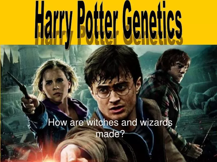 how are witches and wizards made